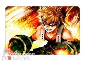 Boku no Hero Academia 17